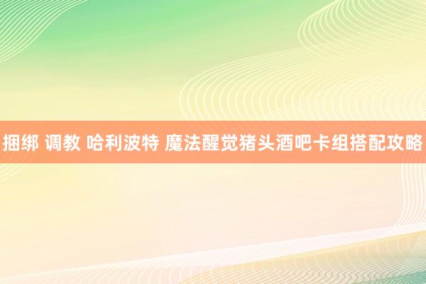 捆绑 调教 哈利波特 魔法醒觉猪头酒吧卡组搭配攻略