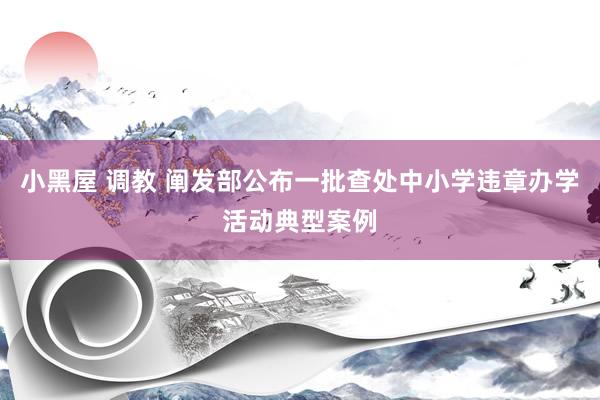 小黑屋 调教 阐发部公布一批查处中小学违章办学活动典型案例