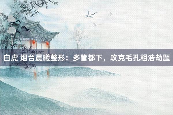 白虎 烟台晨曦整形：多管都下，攻克毛孔粗浩劫题