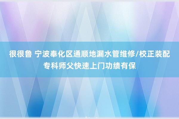 很很鲁 宁波奉化区通顺地漏水管维修/校正装配专科师父快速上门功绩有保
