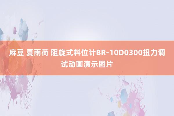 麻豆 夏雨荷 阻旋式料位计BR-10D0300扭力调试动画演示图片