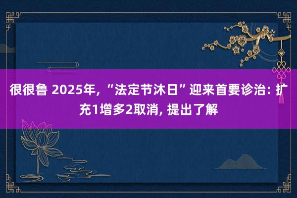 很很鲁 2025年, “法定节沐日”迎来首要诊治: 扩充1增多2取消, 提出了解