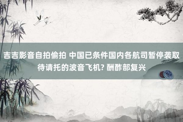 吉吉影音自拍偷拍 中国已条件国内各航司暂停袭取待请托的波音飞机? 酬酢部复兴