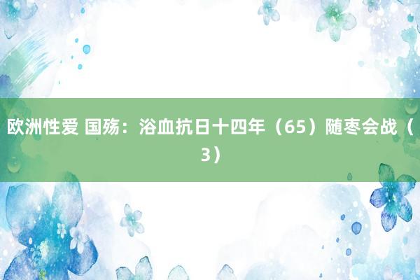 欧洲性爱 国殇：浴血抗日十四年（65）随枣会战（3）