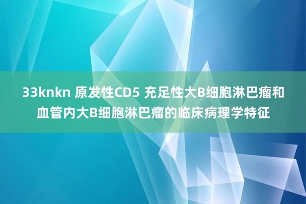 33knkn 原发性CD5 充足性大B细胞淋巴瘤和血管内大B细胞淋巴瘤的临床病理学特征