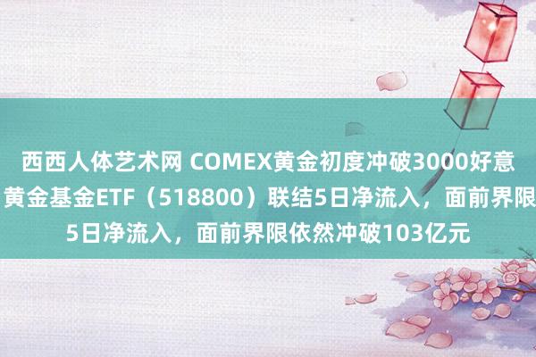 西西人体艺术网 COMEX黄金初度冲破3000好意思元创历史新高，黄金基金ETF（518800）联结5日净流入，面前界限依然冲破103亿元